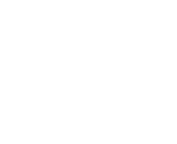 Hybrid Challenge